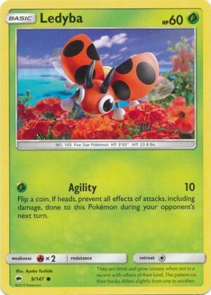 Ledyba (9/147)